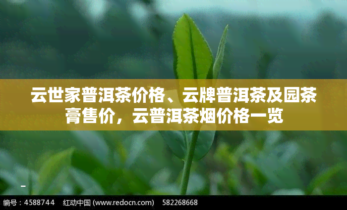 云世家普洱茶价格、云牌普洱茶及园茶膏售价，云普洱茶烟价格一览