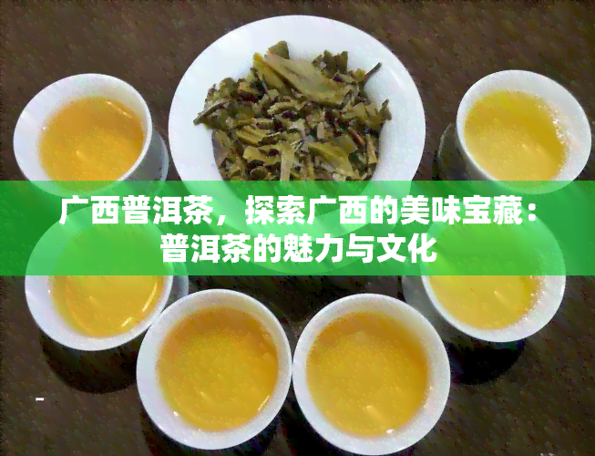 广西普洱茶，探索广西的美味宝藏：普洱茶的魅力与文化