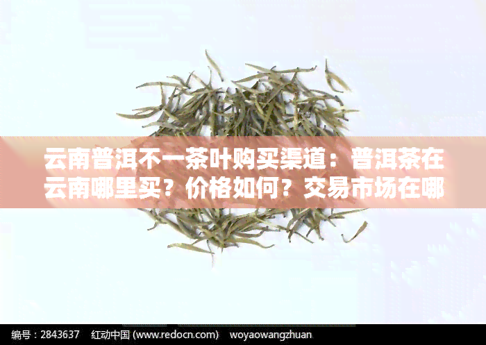 云南普洱不一茶叶购买渠道：普洱茶在云南哪里买？价格如何？交易市场在哪？