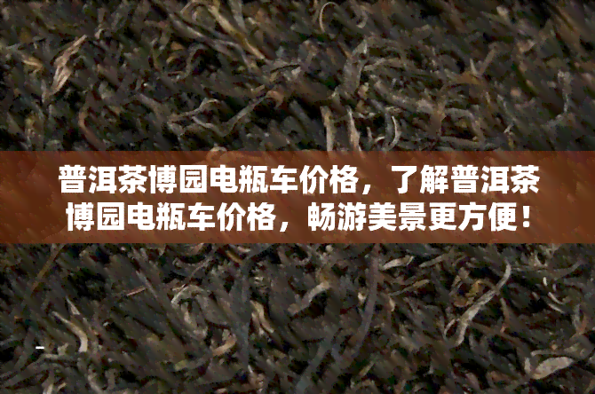 普洱茶博园电瓶车价格，了解普洱茶博园电瓶车价格，畅游美景更方便！