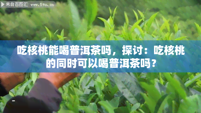 吃核桃能喝普洱茶吗，探讨：吃核桃的同时可以喝普洱茶吗？