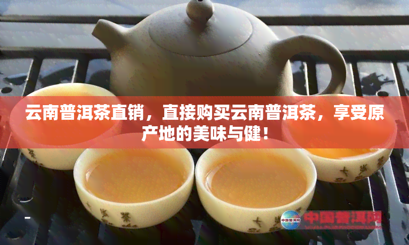 云南普洱茶直销，直接购买云南普洱茶，享受原产地的美味与健！