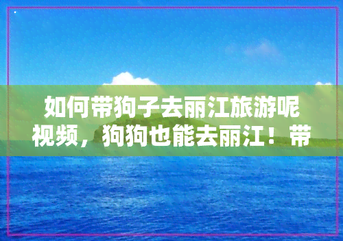 如何带狗子去丽江旅游呢视频，狗狗也能去丽江！带你揭秘如何顺利携带爱犬旅行