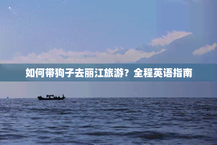 如何带狗子去丽江旅游？全程英语指南