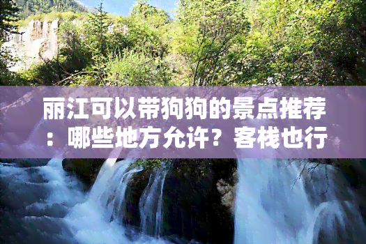 丽江可以带狗狗的景点推荐：哪些地方允许？客栈也行！