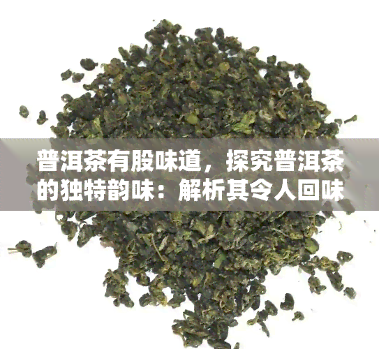 普洱茶有股味道，探究普洱茶的独特韵味：解析其令人回味无穷的味道来源