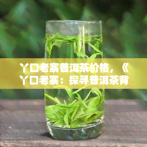 丫口老寨普洱茶价格，《丫口老寨：探寻普洱茶背后的故事》