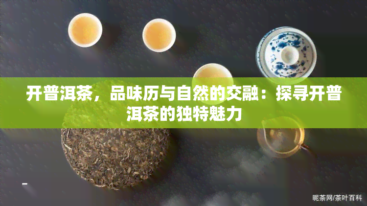 开普洱茶，品味历与自然的交融：探寻开普洱茶的独特魅力