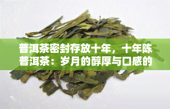 普洱茶密封存放十年，十年陈普洱茶：岁月的醇厚与口感的独特