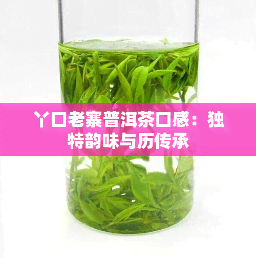 丫口老寨普洱茶口感：独特韵味与历传承