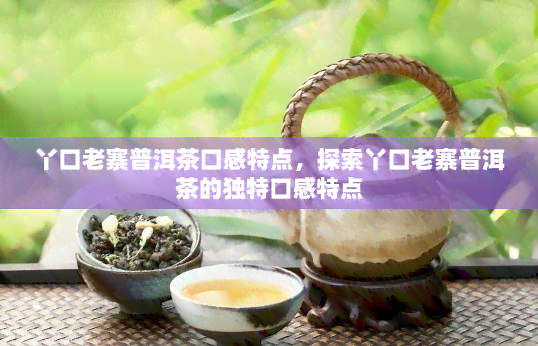 丫口老寨普洱茶口感特点，探索丫口老寨普洱茶的独特口感特点