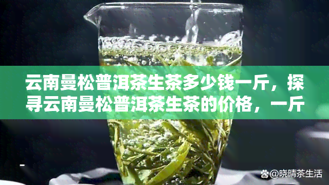 云南曼松普洱茶生茶多少钱一斤，探寻云南曼松普洱茶生茶的价格，一斤需要多少银两？