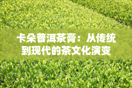 卡朵普洱茶膏：从传统到现代的茶文化演变