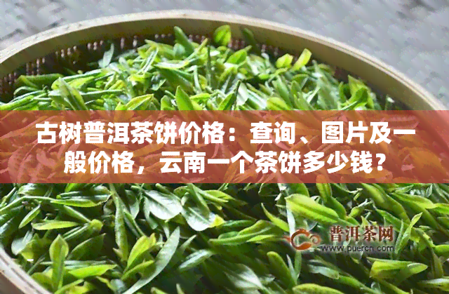 古树普洱茶饼价格：查询、图片及一般价格，云南一个茶饼多少钱？