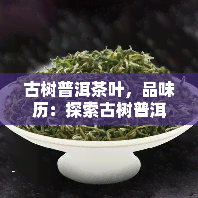 古树普洱茶叶，品味历：探索古树普洱茶叶的独特魅力