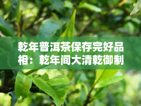 乾年普洱茶保存完好品相：乾年间大清乾御制普洱茶