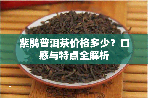 紫鹃普洱茶价格多少？口感与特点全解析