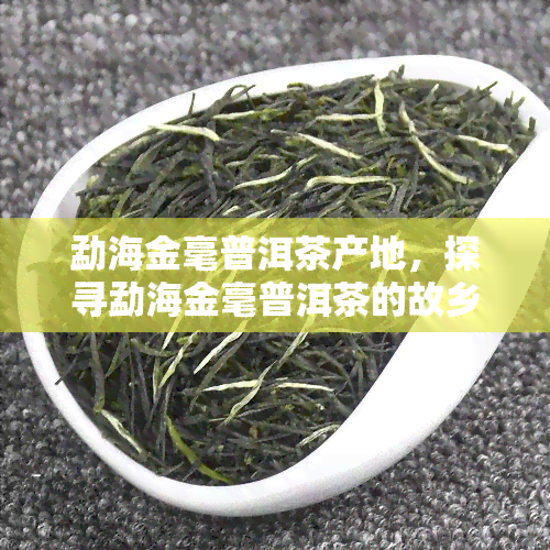 勐海金毫普洱茶产地，探寻勐海金毫普洱茶的故乡