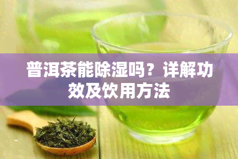 普洱茶能除湿吗？详解功效及饮用方法