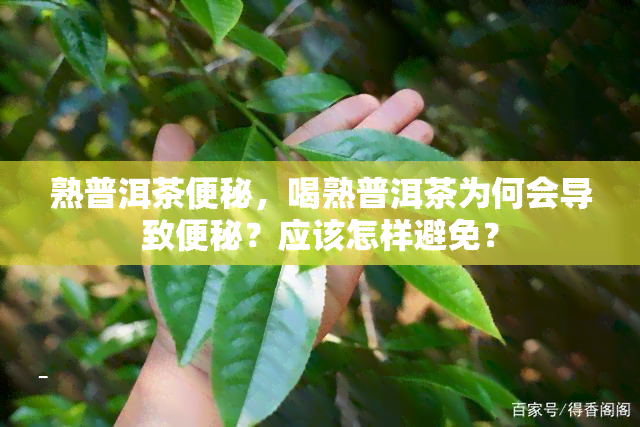 熟普洱茶便秘，喝熟普洱茶为何会导致便秘？应该怎样避免？