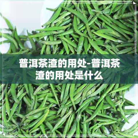 普洱茶渣的用处-普洱茶渣的用处是什么