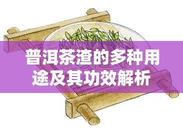 普洱茶渣的多种用途及其功效解析