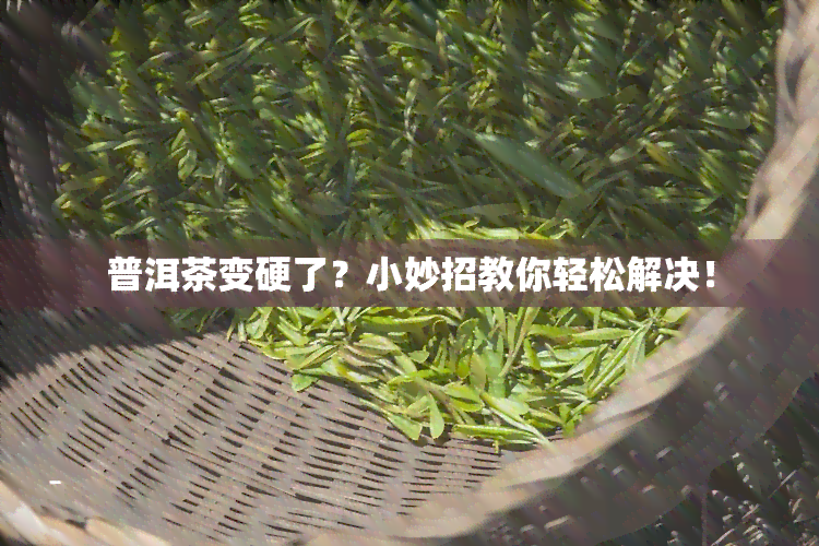 普洱茶变硬了？小妙招教你轻松解决！