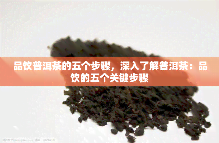 品饮普洱茶的五个步骤，深入了解普洱茶：品饮的五个关键步骤