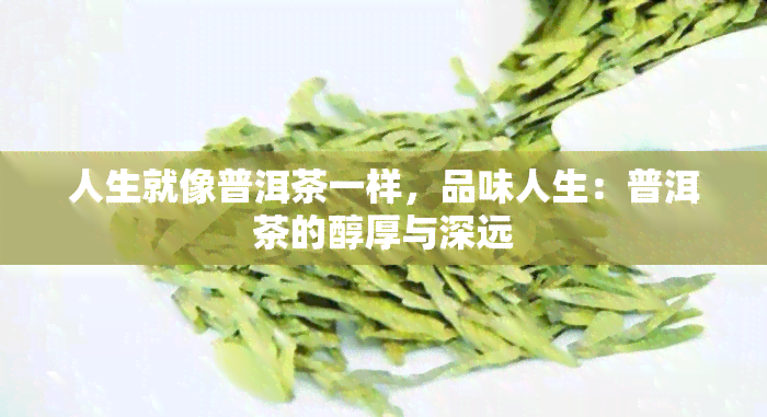 人生就像普洱茶一样，品味人生：普洱茶的醇厚与深远