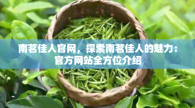 南茗佳人官网，探索南茗佳人的魅力：官方网站全方位介绍