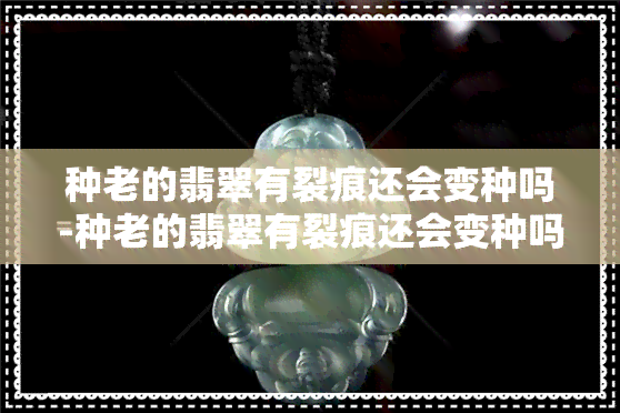 种老的翡翠有裂痕还会变种吗-种老的翡翠有裂痕还会变种吗图片