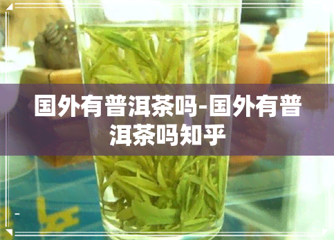 国外有普洱茶吗-国外有普洱茶吗知乎