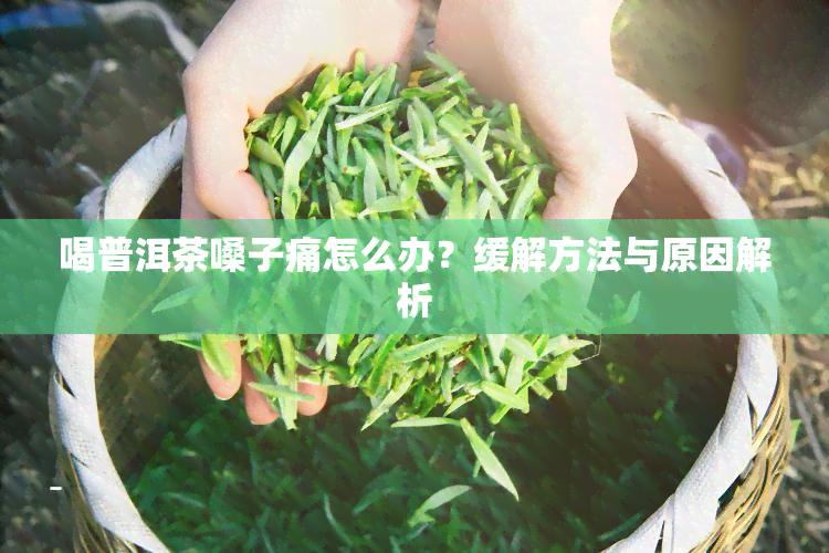 喝普洱茶嗓子痛怎么办？缓解方法与原因解析