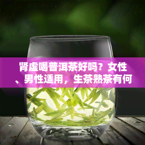 肾虚喝普洱茶好吗？女性、男性适用，生茶熟茶有何区别？对肾有帮助吗？