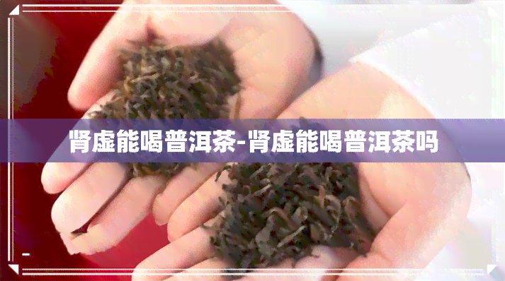 肾虚能喝普洱茶-肾虚能喝普洱茶吗