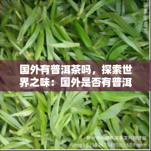 国外有普洱茶吗，探索世界之味：国外是否有普洱茶的存在？