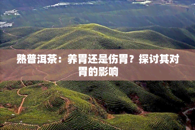 熟普洱茶：养胃还是伤胃？探讨其对胃的影响