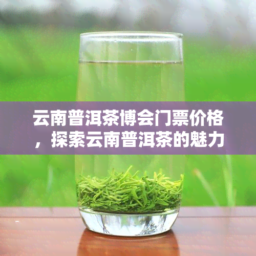 云南普洱茶博会门票价格，探索云南普洱茶的魅力：揭秘茶博会门票价格