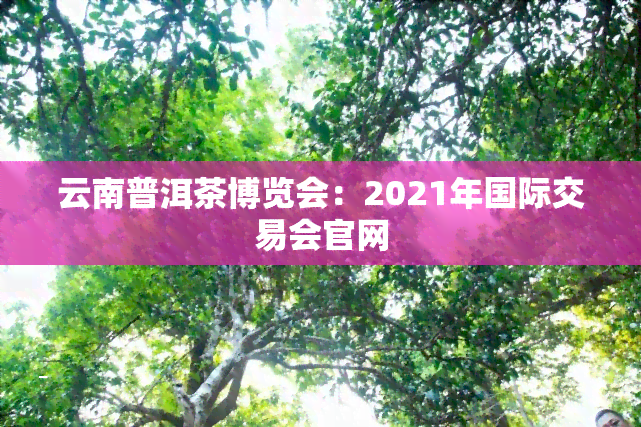 云南普洱茶博览会：2021年国际交易会官网