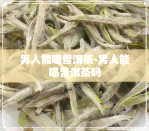 男人能喝普洱茶-男人能喝普洱茶吗