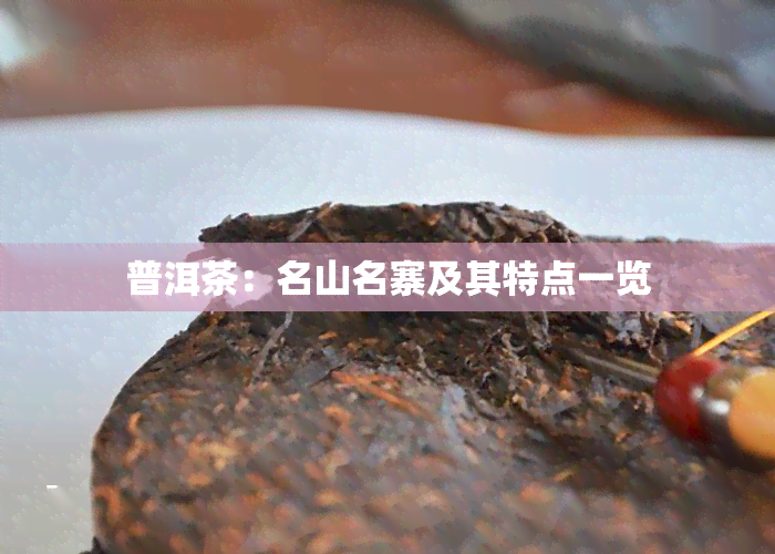 普洱茶：名山名寨及其特点一览