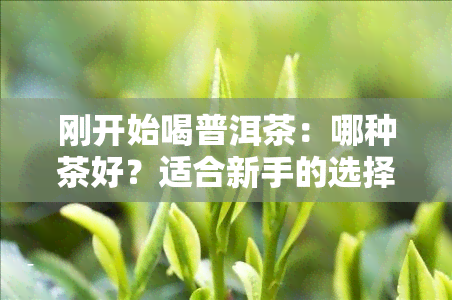 刚开始喝普洱茶：哪种茶好？适合新手的选择与初次体验症状