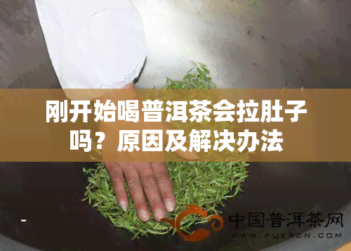 刚开始喝普洱茶会拉肚子吗？原因及解决办法