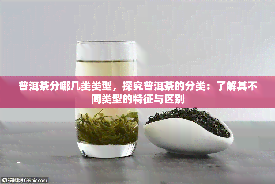 普洱茶分哪几类类型，探究普洱茶的分类：了解其不同类型的特征与区别