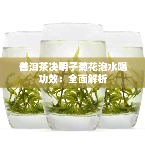 普洱茶决明子菊花泡水喝功效：全面解析