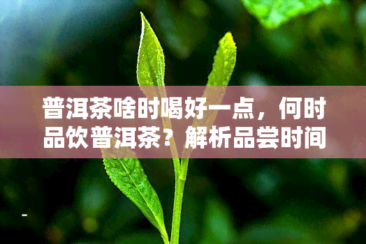 普洱茶啥时喝好一点，何时品饮普洱茶？解析品尝时间