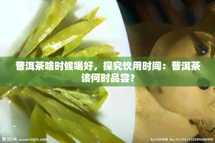 普洱茶啥时候喝好，探究饮用时间：普洱茶该何时品尝？