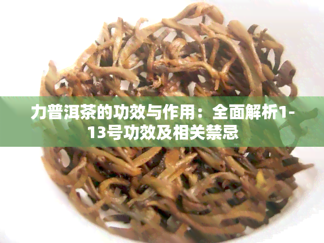 力普洱茶的功效与作用：全面解析1-13号功效及相关禁忌