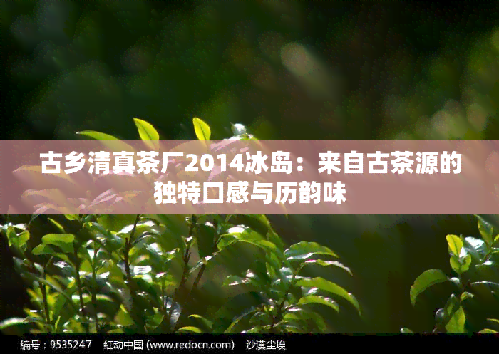 古乡     茶厂2014冰岛：来自古茶源的独特口感与历韵味