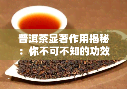 普洱茶显著作用揭秘：你不可不知的功效与作用